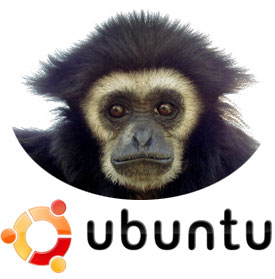 ubuntu-gutsy-gibbon
